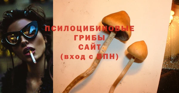 apvp Алзамай