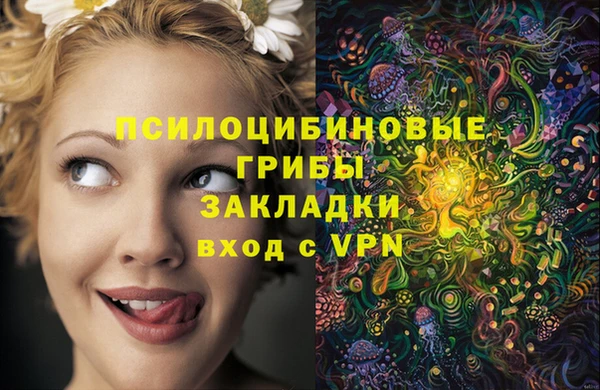 apvp Алзамай