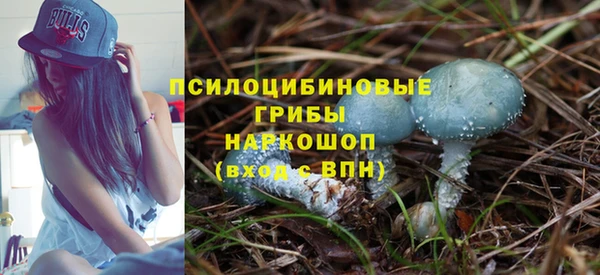 стафф Алексеевка