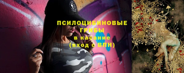 apvp Алзамай
