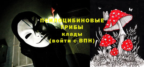 apvp Алзамай