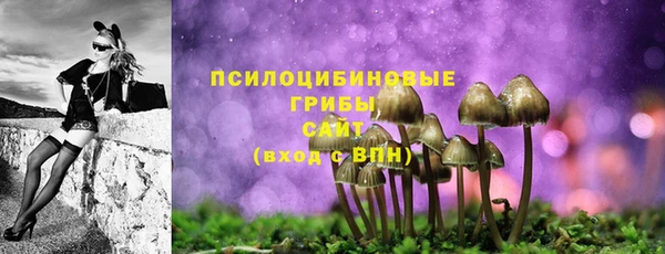 PSILOCYBIN Алексин