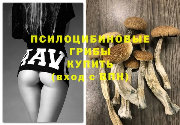 PSILOCYBIN Алексин